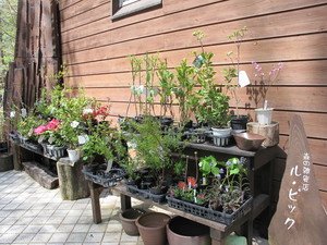 IMG_5745.JPG